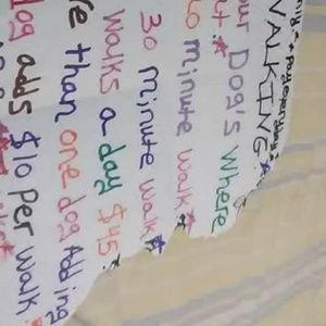 Walking dogs in Greensboro NC